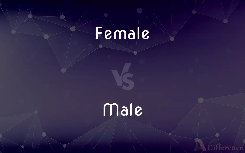 Female vs. Male — What's the Difference?