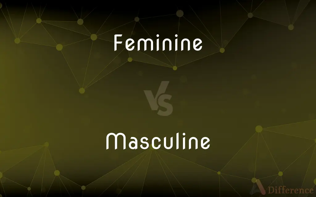 Feminine vs. Masculine — What's the Difference?