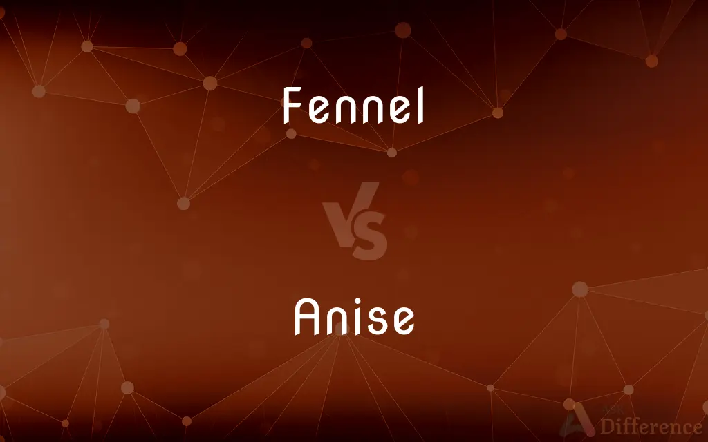 Fennel vs. Anise — What's the Difference?