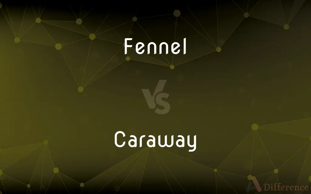 Fennel vs. Caraway — What's the Difference?
