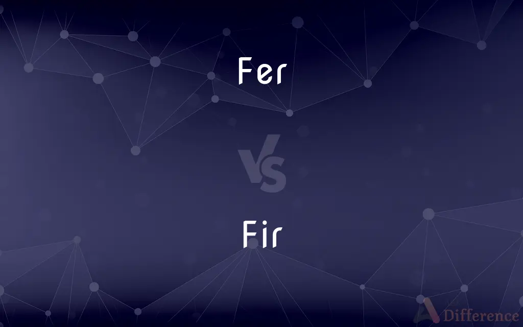 Fer vs. Fir — What's the Difference?