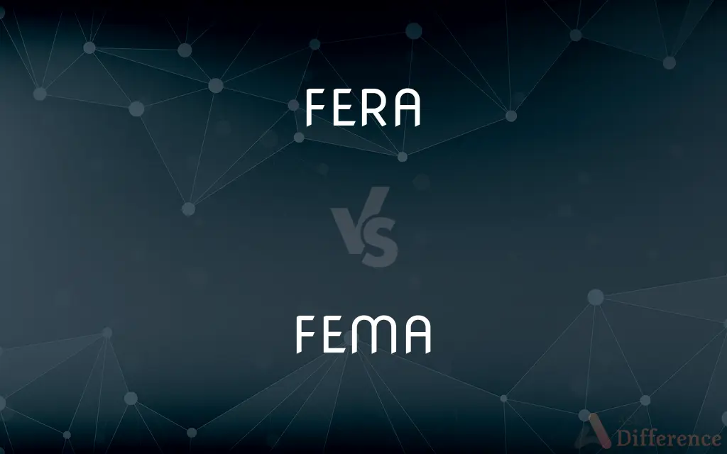 FERA vs. FEMA — What's the Difference?