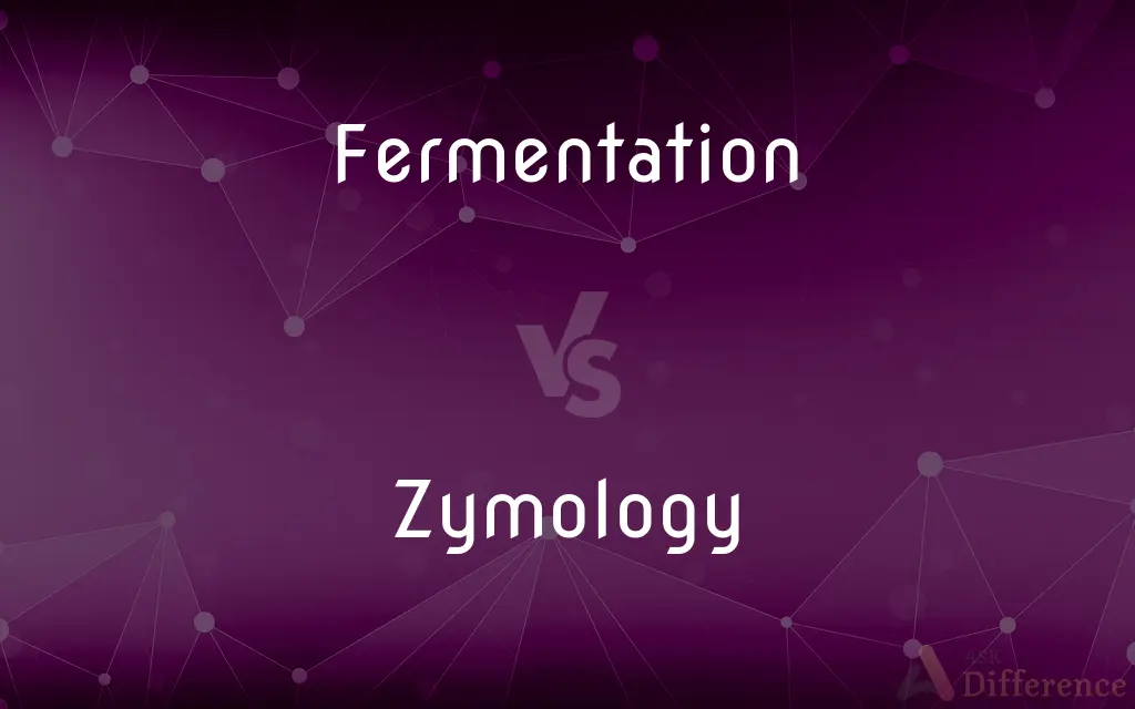 Fermentation vs. Zymology — What's the Difference?