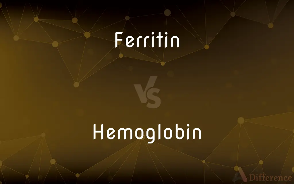 Ferritin vs. Hemoglobin — What's the Difference?