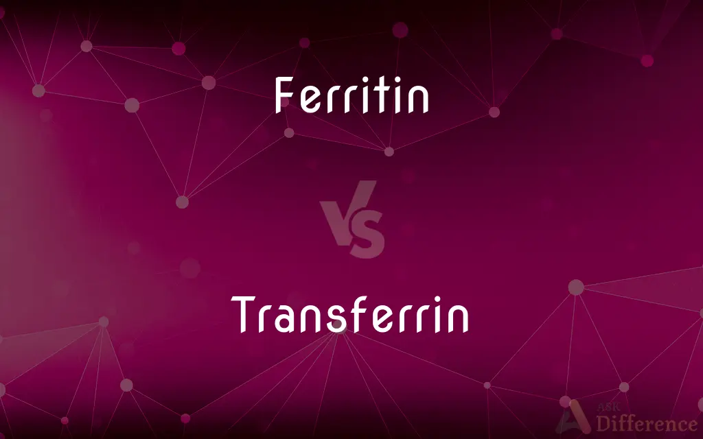 Ferritin vs. Transferrin — What's the Difference?