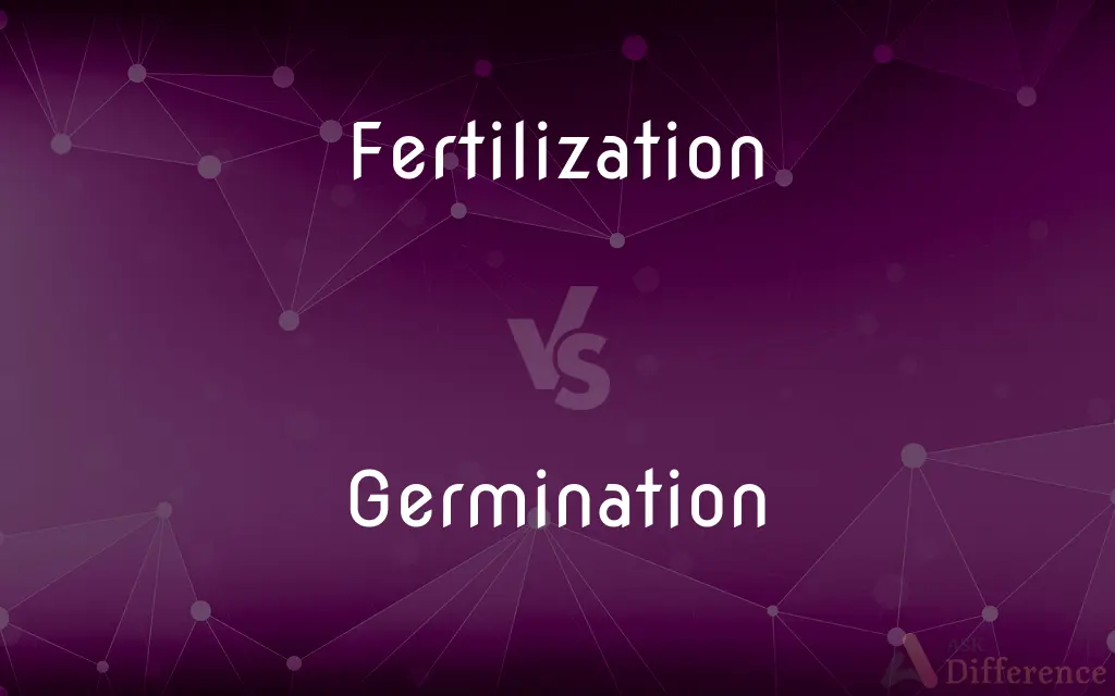 Fertilization vs. Germination — What's the Difference?