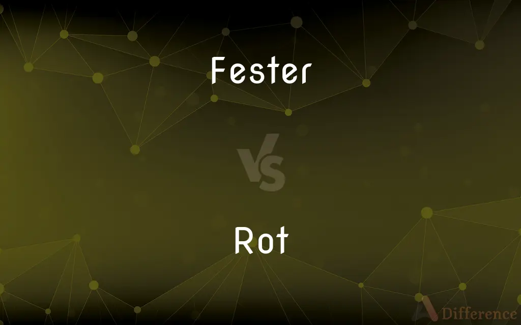 Fester vs. Rot — What's the Difference?