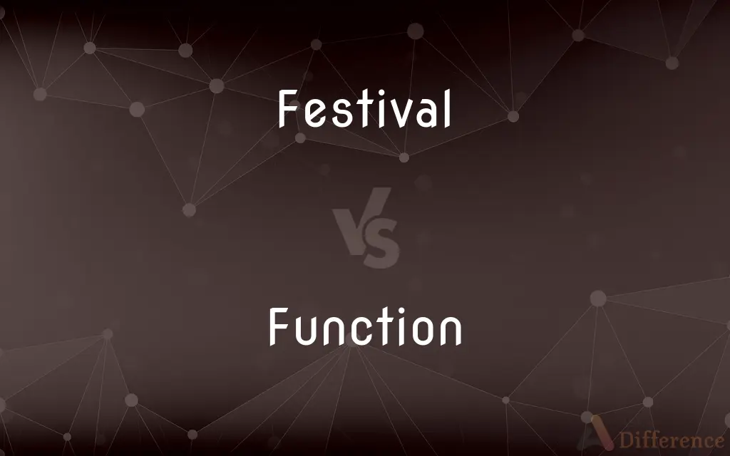 Festival vs. Function — What's the Difference?