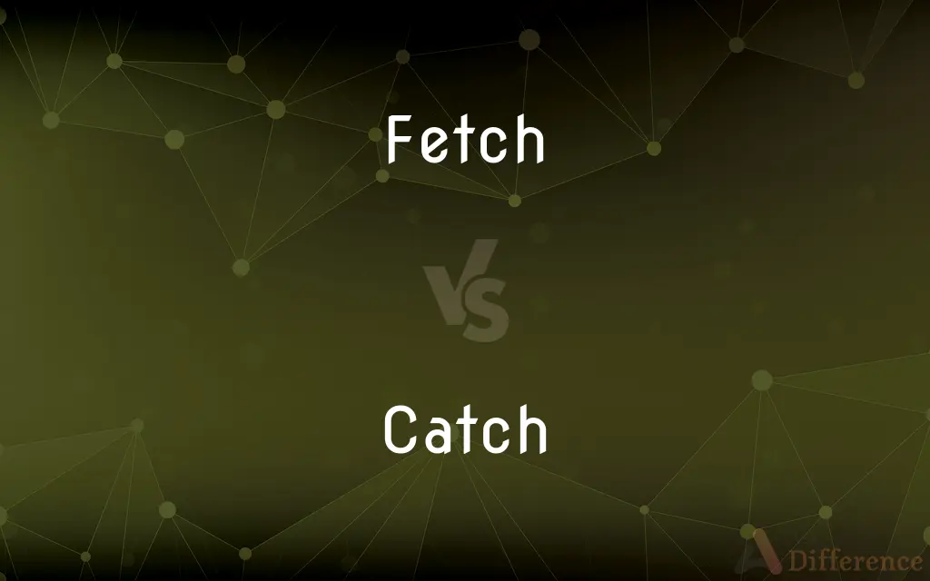 Fetch vs. Catch — What's the Difference?