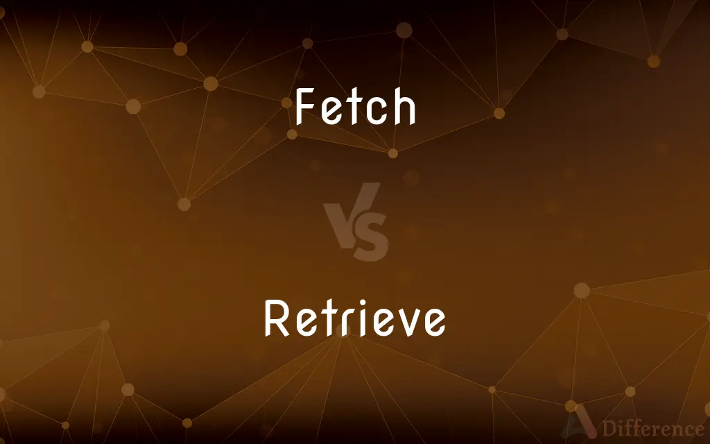 Fetch vs. Retrieve — What's the Difference?