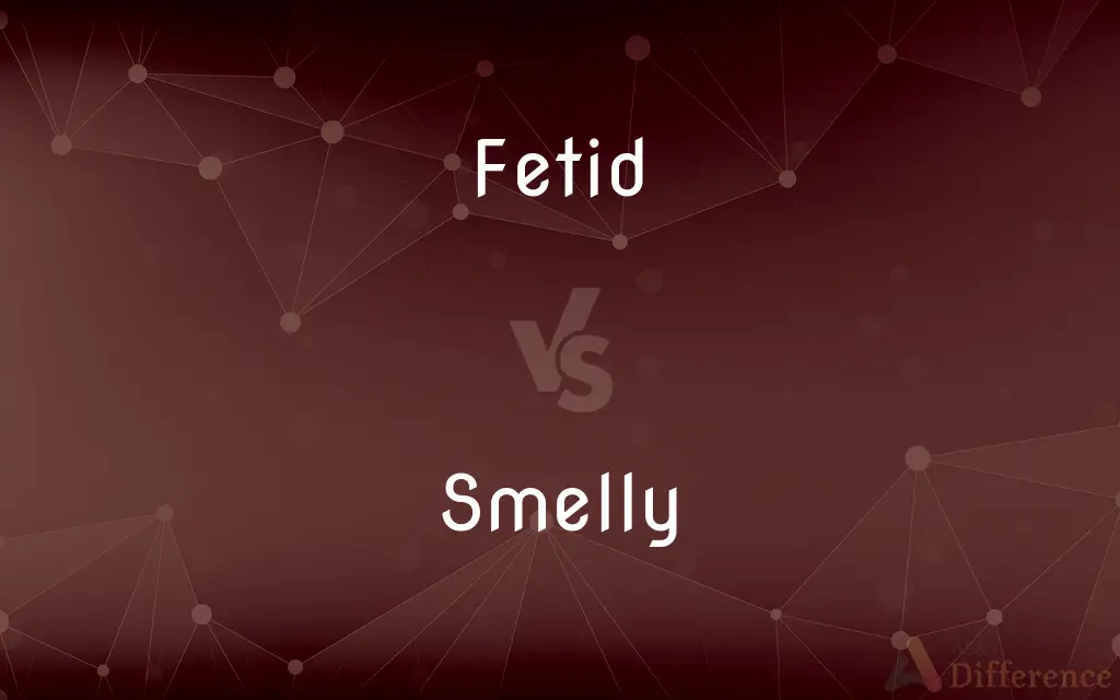 Fetid vs. Smelly — What's the Difference?