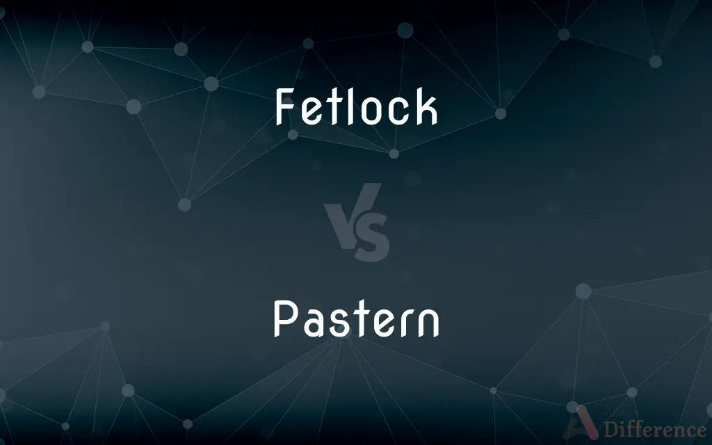 Fetlock vs. Pastern — What's the Difference?
