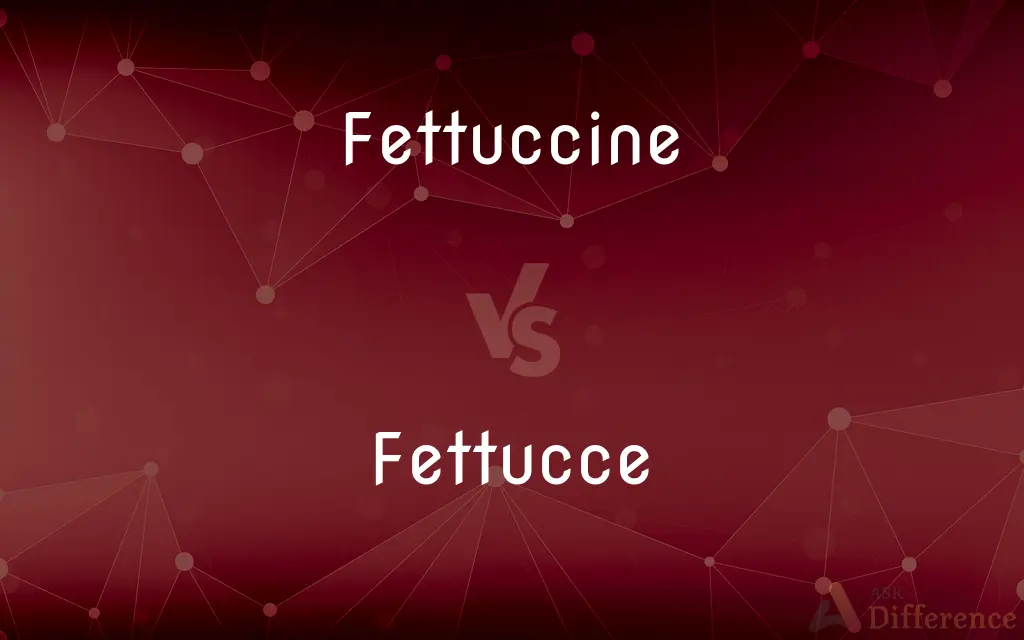 Fettuccine vs. Fettucce — What's the Difference?