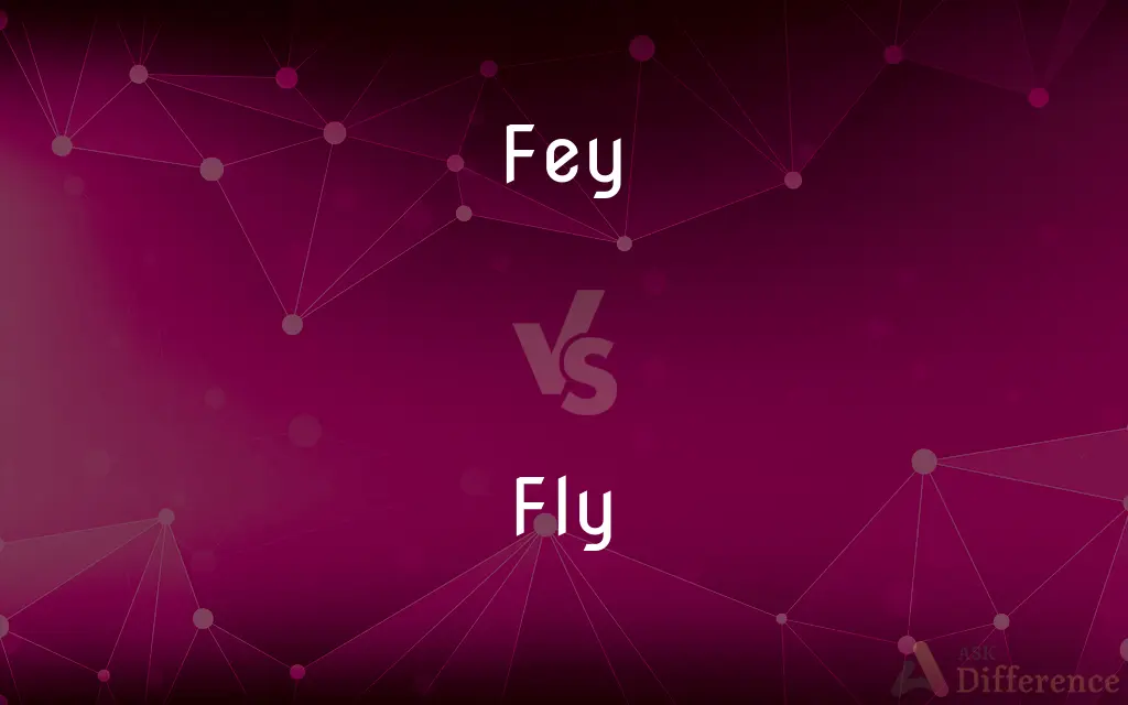 Fey vs. Fly — What's the Difference?