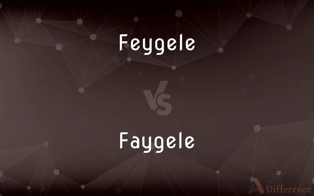 Feygele vs. Faygele — What's the Difference?