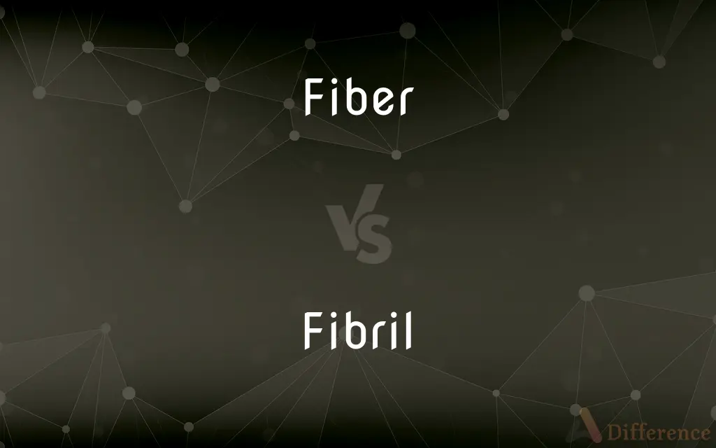 Fiber vs. Fibril — What's the Difference?