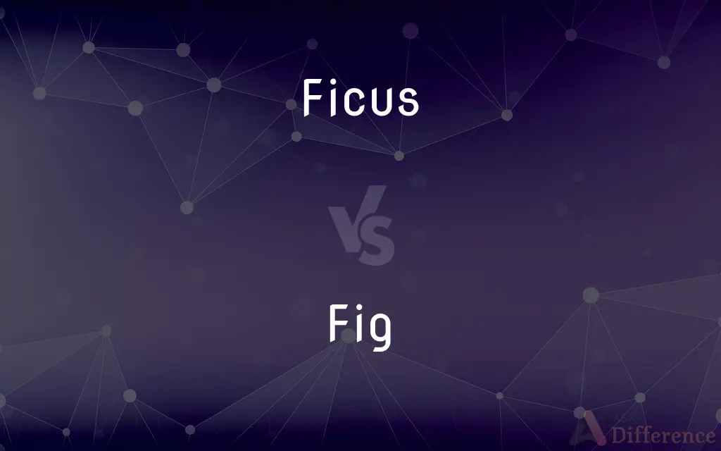 Ficus vs. Fig — What's the Difference?