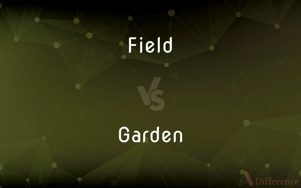 Field vs. Garden — What's the Difference?