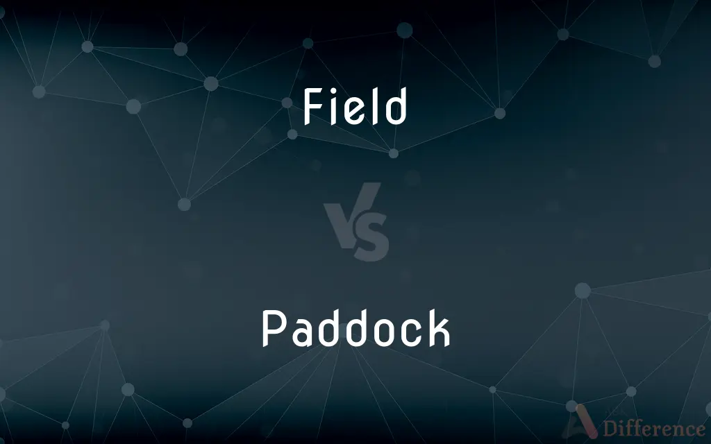 Field vs. Paddock — What's the Difference?