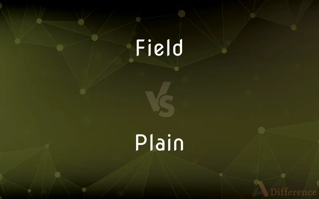 Field vs. Plain — What's the Difference?