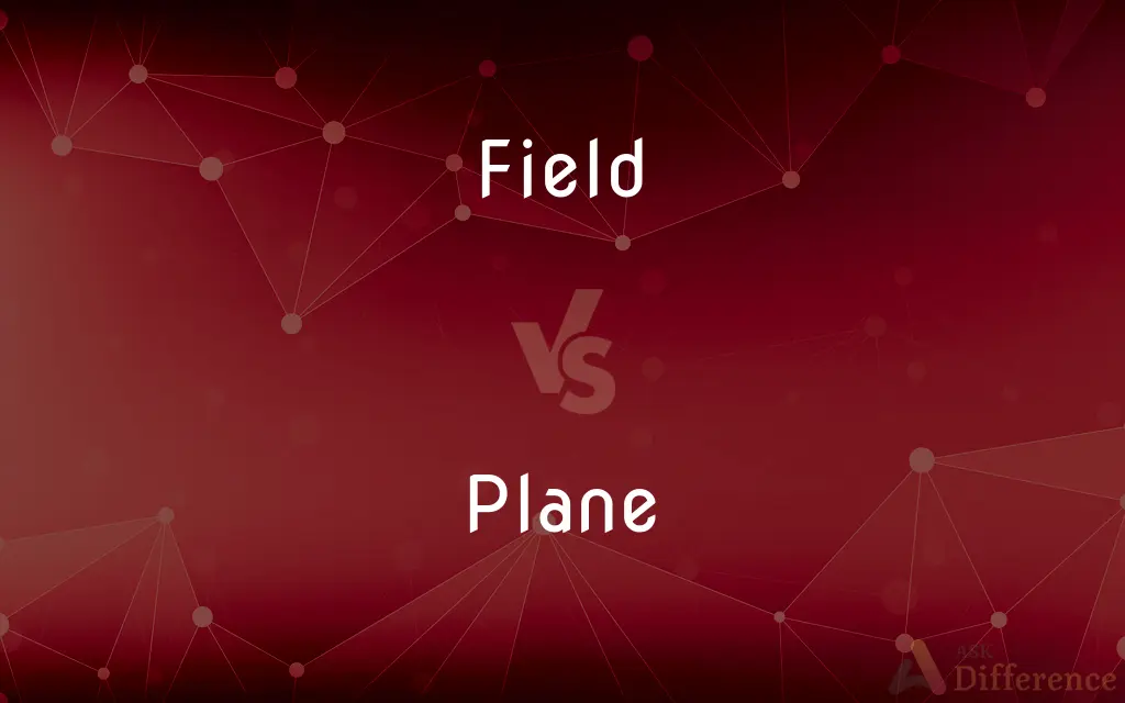 Field vs. Plane — What's the Difference?