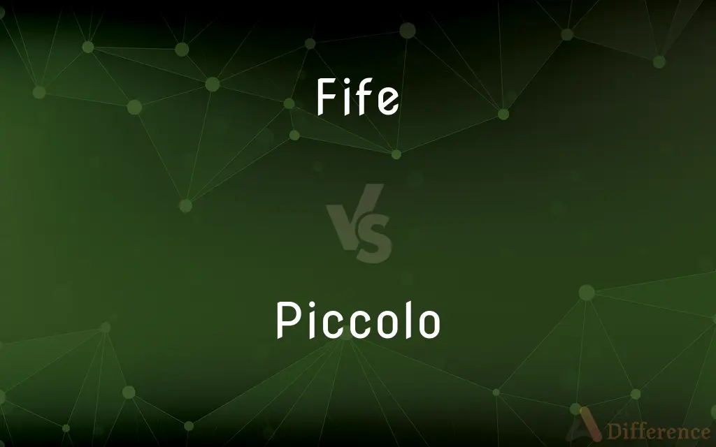 Fife vs. Piccolo — What's the Difference?