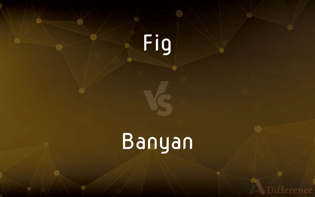 Fig vs. Banyan — What's the Difference?