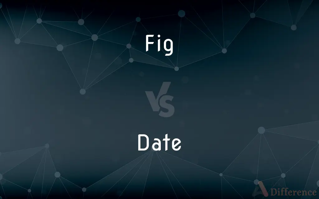 Fig vs. Date — What's the Difference?