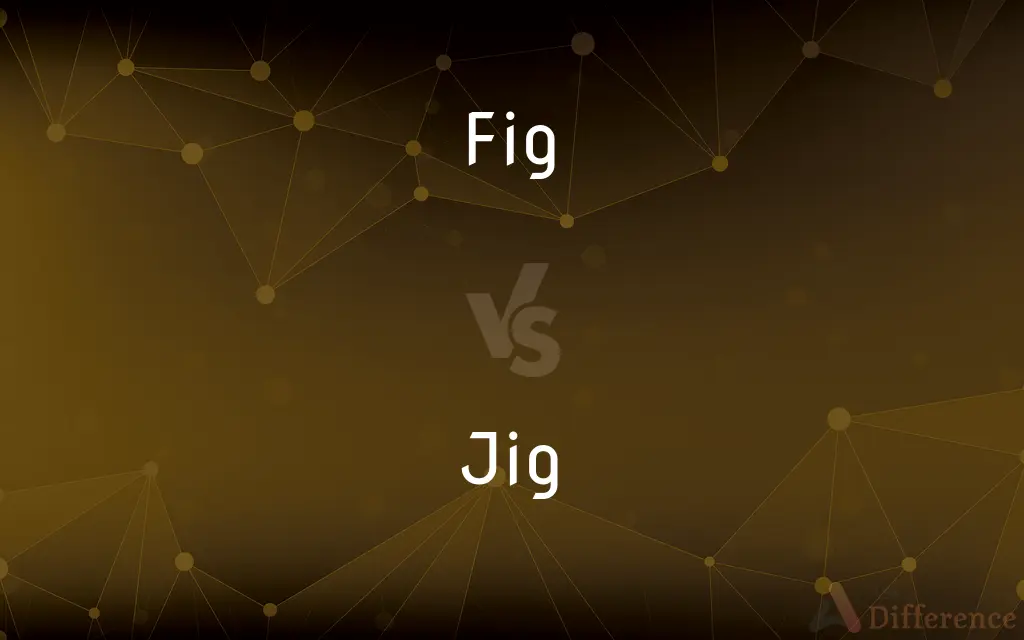 Fig vs. Jig — What's the Difference?
