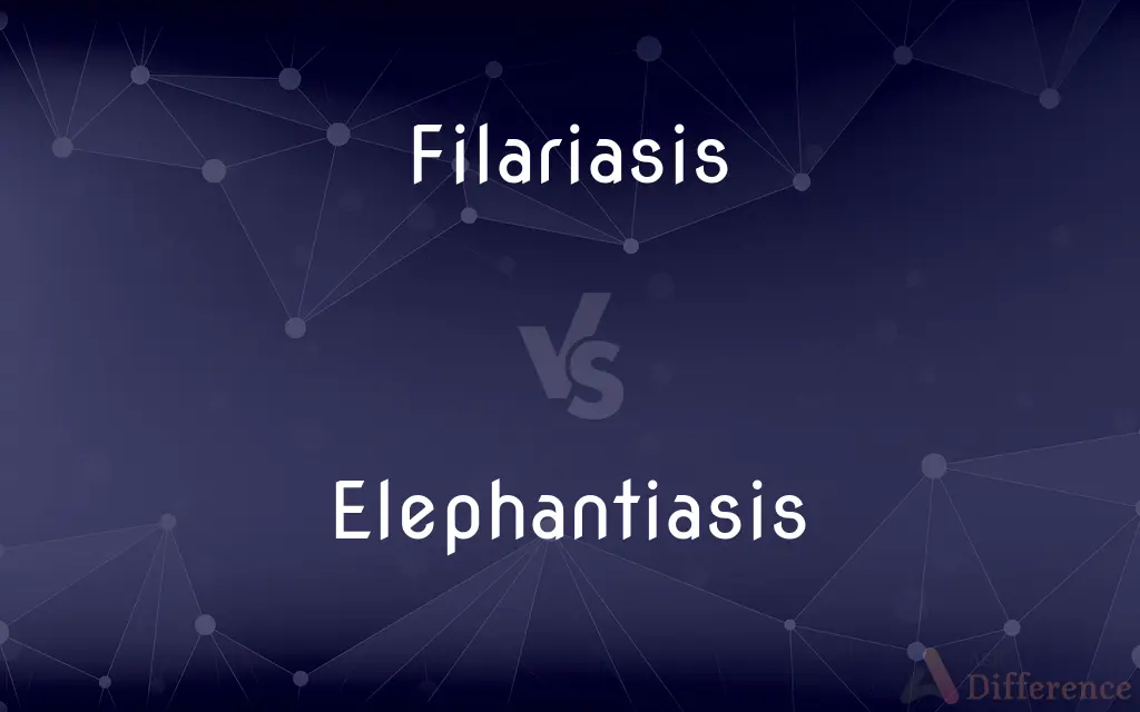 Filariasis vs. Elephantiasis — What's the Difference?