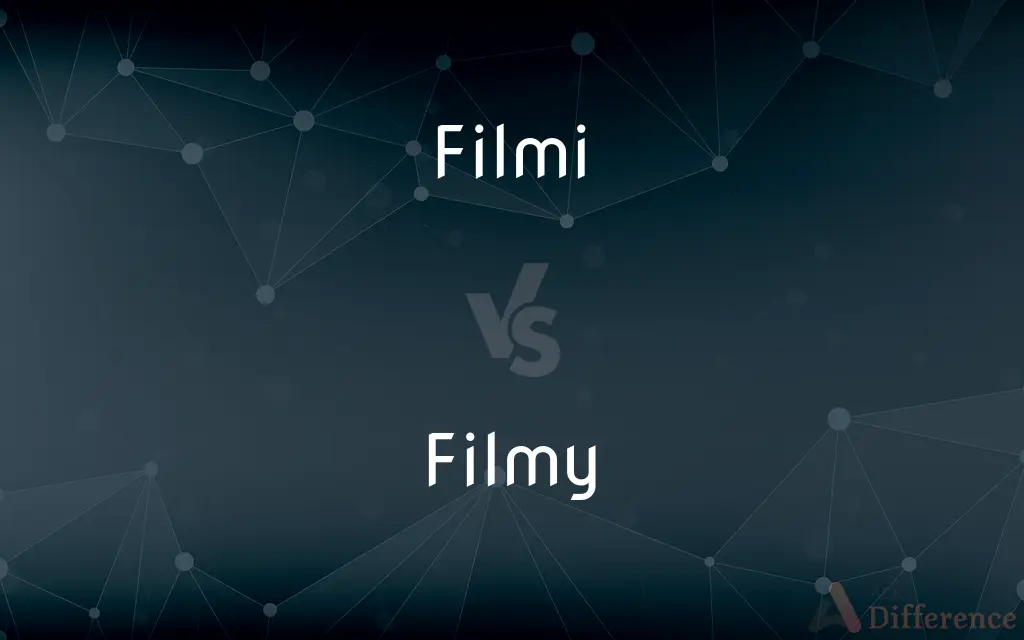 Filmi vs. Filmy — What's the Difference?