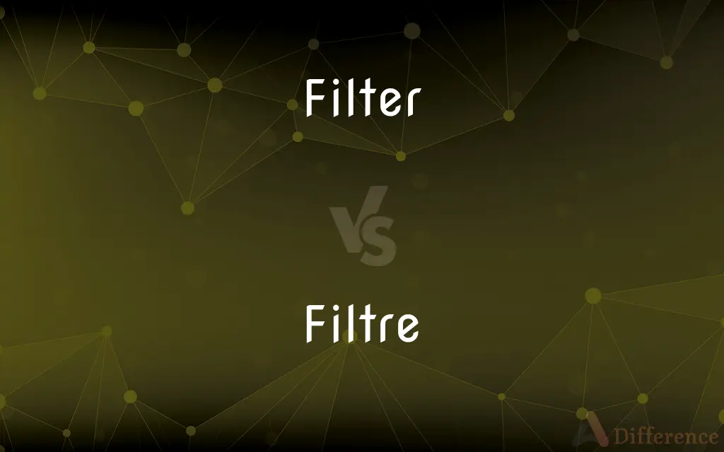 Filter vs. Filtre — Which is Correct Spelling?