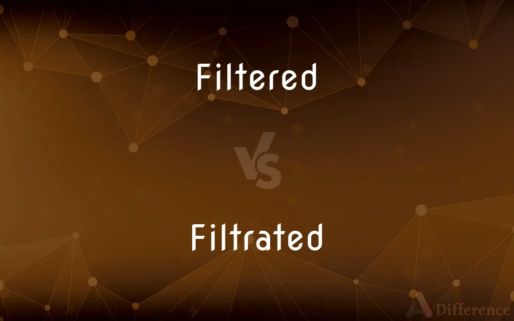 Filtered vs. Filtrated — What's the Difference?