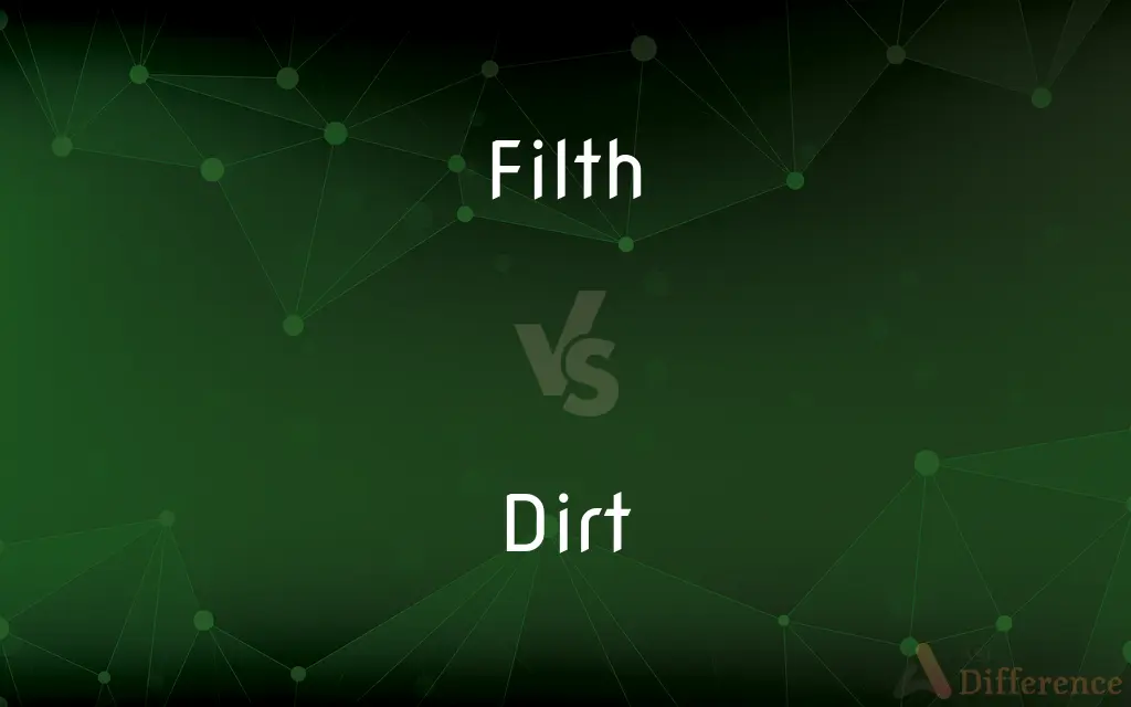 Filth vs. Dirt — What's the Difference?