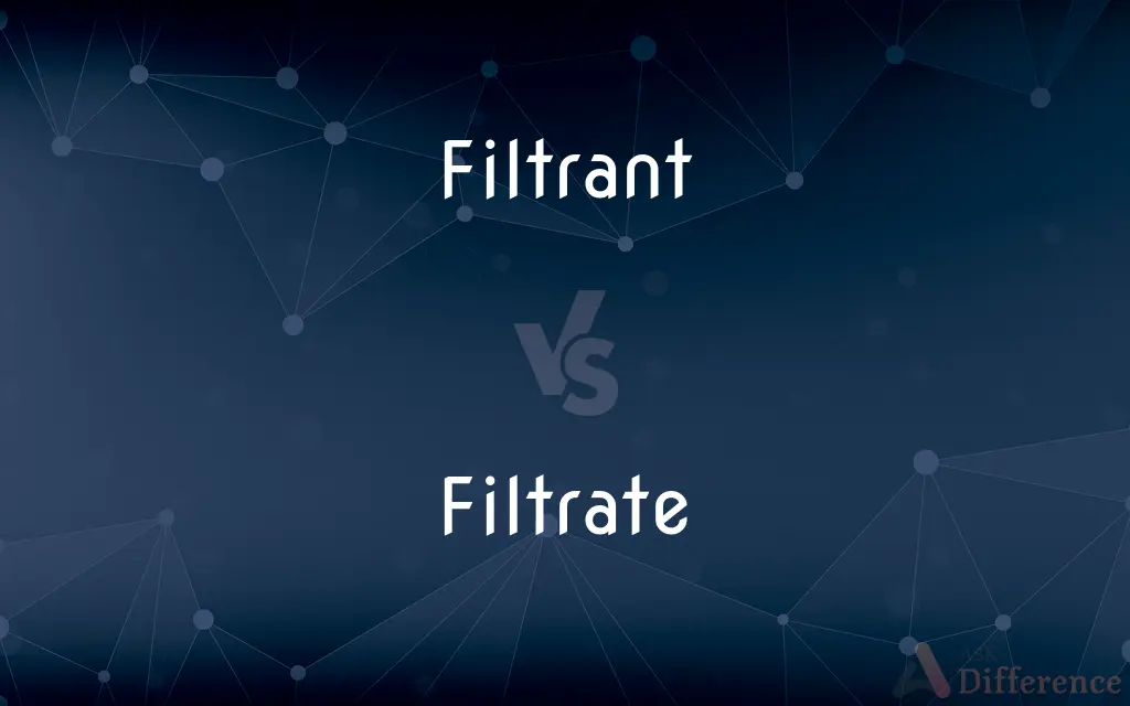 Filtrant vs. Filtrate — Which is Correct Spelling?