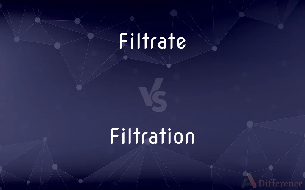 Filtrate vs. Filtration — What's the Difference?