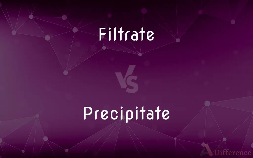 Filtrate vs. Precipitate — What's the Difference?