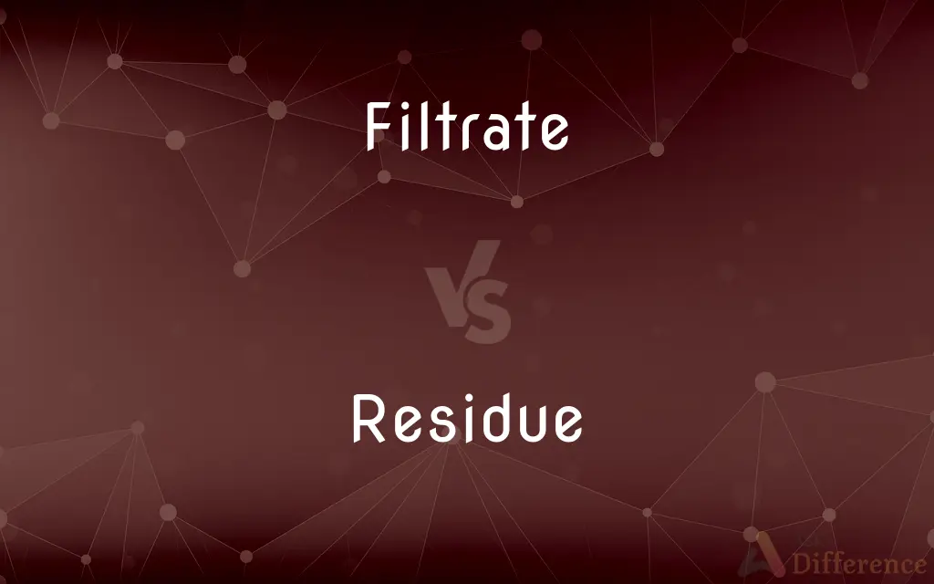 Filtrate vs. Residue — What's the Difference?
