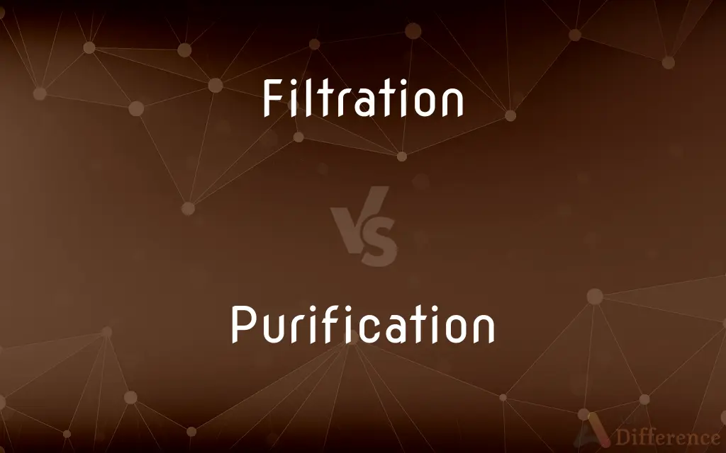 Filtration vs. Purification — What's the Difference?
