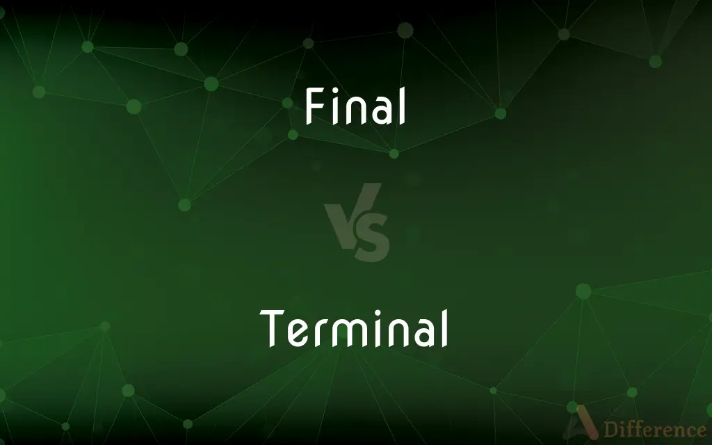 Final vs. Terminal — What's the Difference?
