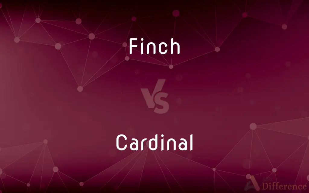 Finch vs. Cardinal — What's the Difference?