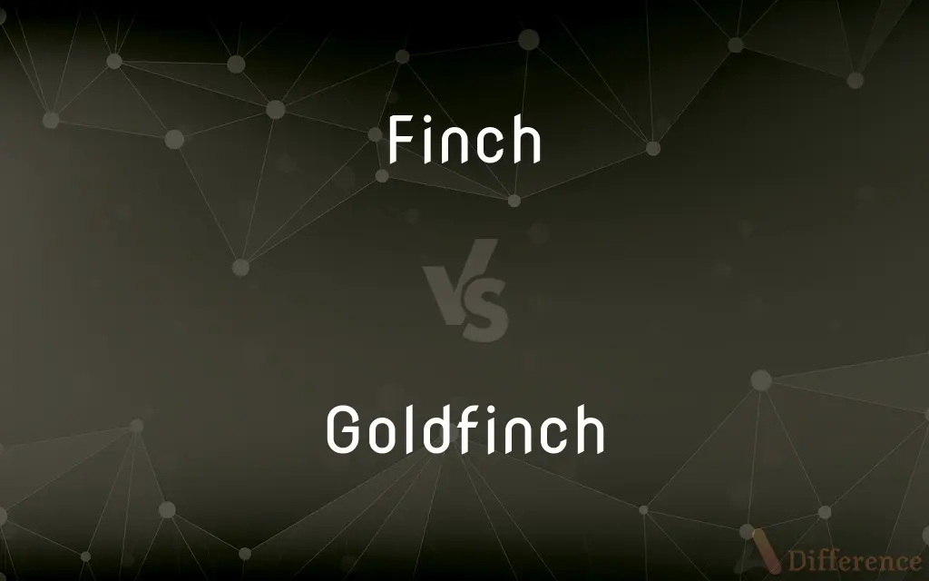 Finch vs. Goldfinch — What's the Difference?