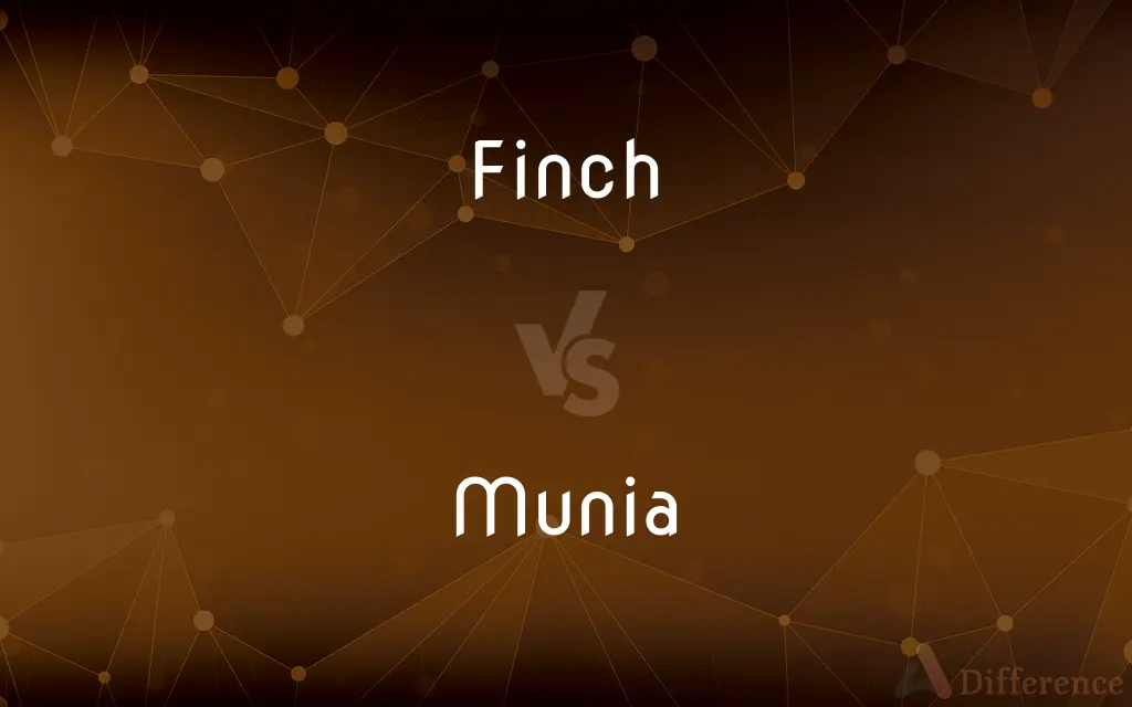 Finch vs. Munia — What's the Difference?