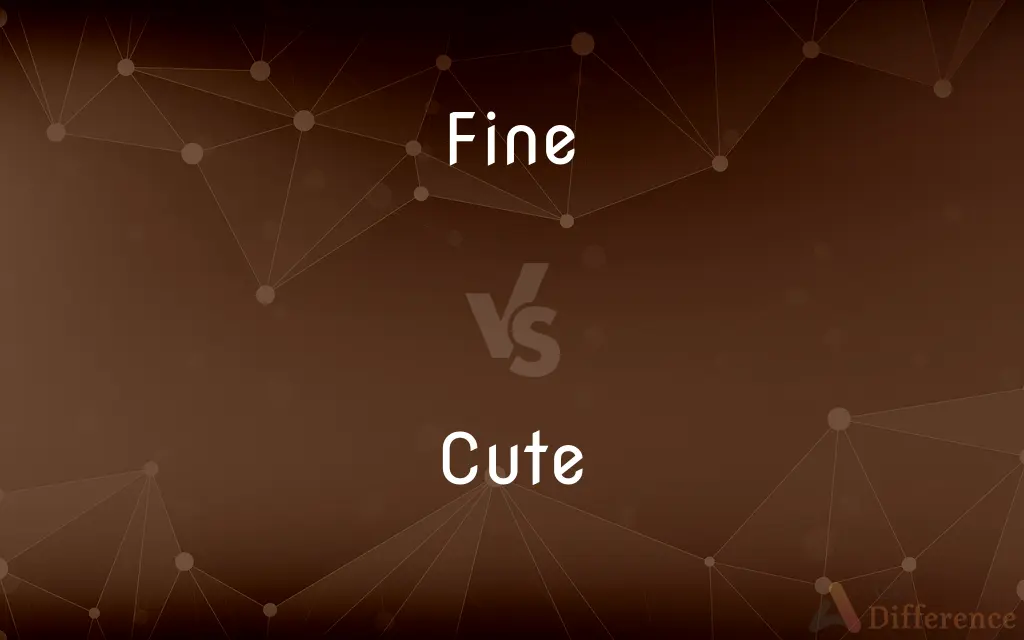 Fine vs. Cute — What's the Difference?