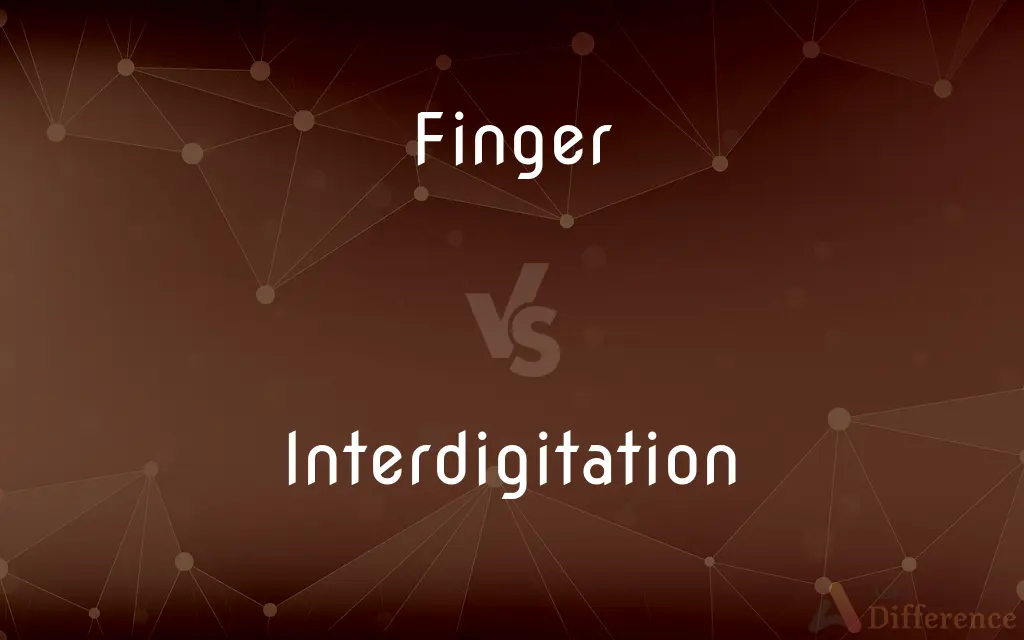 Finger vs. Interdigitation — What's the Difference?