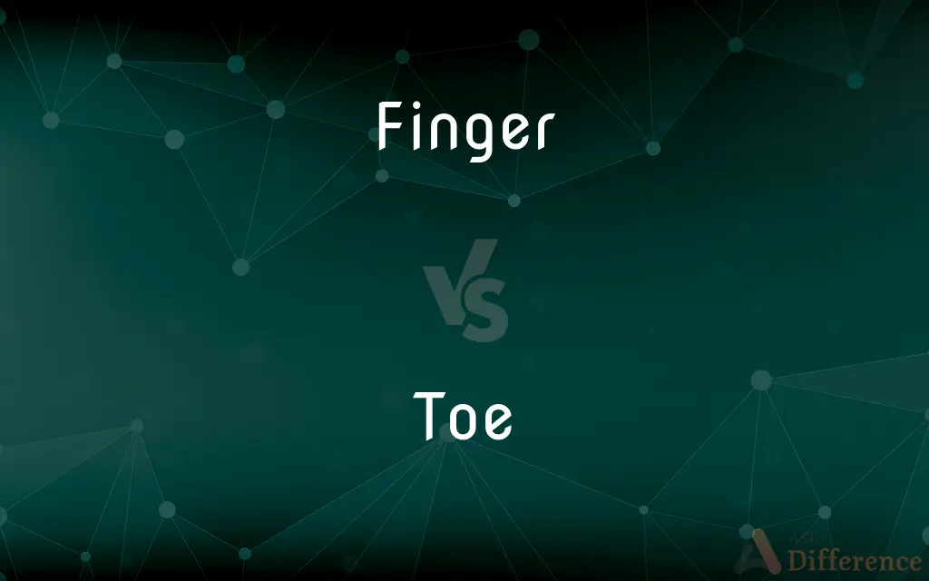 Finger vs. Toe — What's the Difference?