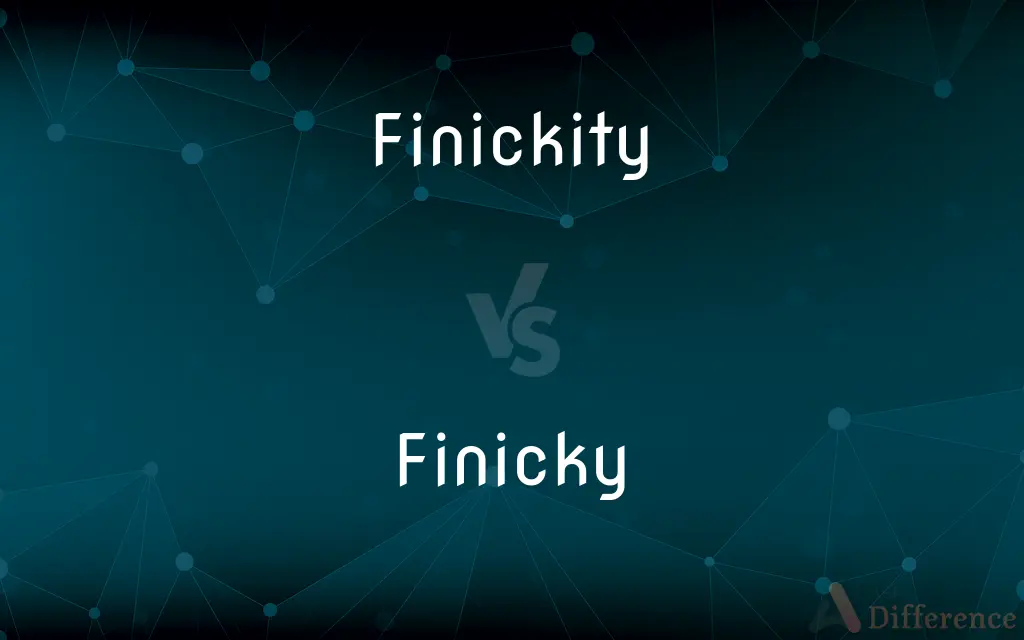Finickity vs. Finicky — Which is Correct Spelling?
