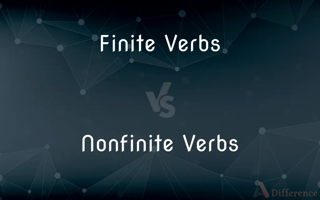 Finite Verbs vs. Nonfinite Verbs — What's the Difference?