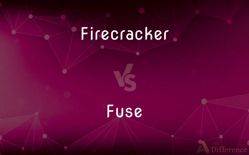 Firecracker vs. Fuse — What's the Difference?