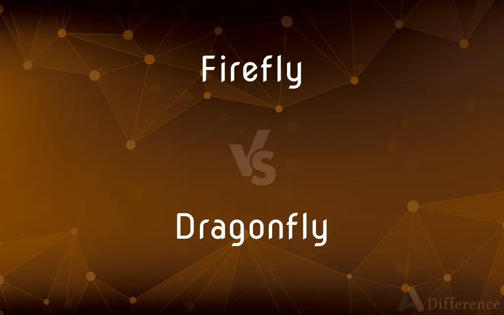 Firefly vs. Dragonfly — What's the Difference?
